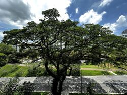 Mayfair Modern (D21), Condominium #517896201